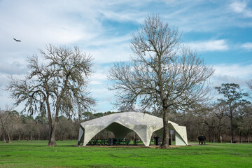 park pavilion in feild with tree during fall