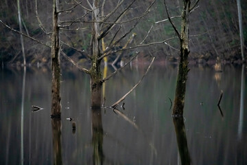 長野県王滝村　初冬の自然湖