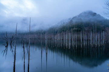 長野県王滝村　初冬の自然湖
