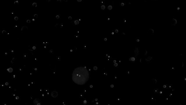 Amazing Organic Dust Particles Floating on Black Background Footage Motion Effect.