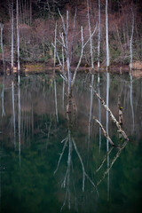 長野県王滝村　初冬の自然湖