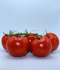 Tomatoes on a vine against a white background.