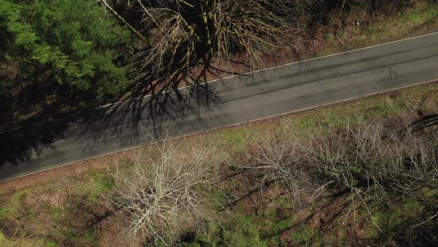 Drone Top View of Silver Car Driving Rural Forest Road