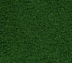 Obraz premium green grass background