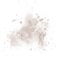 mushroom forest watercolor  illustration botanical