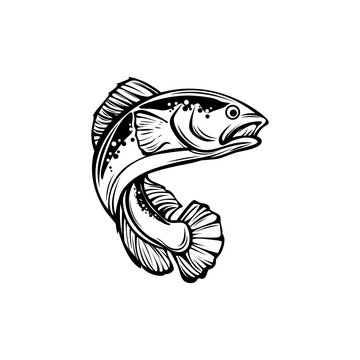 Snakehead fish sketch in black and white for logo template and more