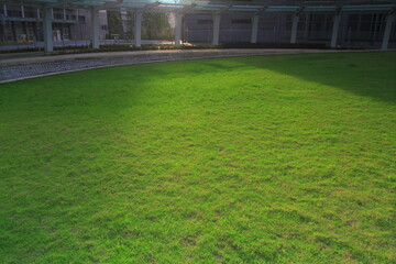 the Garden at hk  Science and Technology Parks