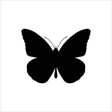 Vector butterfly icon.