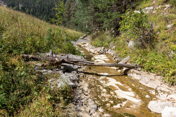 mountain river- sources , beginning of autumn panoramic view , tourist routes and recreation in the...