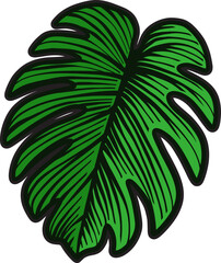 Tropical Leaf and Flower Illustration