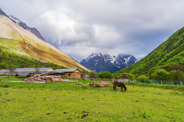 Meili Snow Mountains and Grassland Pastures in Nyingchi, Tibet Autonomous Region, China  on June 11, 2022