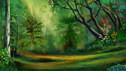 Meadow in a rainforest Illustration