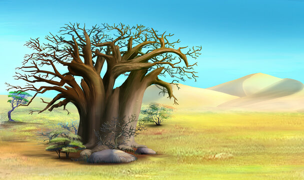 Big baobab tree in the savannah illustration