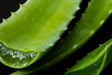 Aloe vera leaves macro
