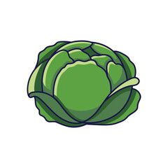 Cute Cabbage cartoon icon illustration. Food vegetable flat icon concept isolated on white background. Cabbage in Doodle style. Print for kids clothing. Food illustration