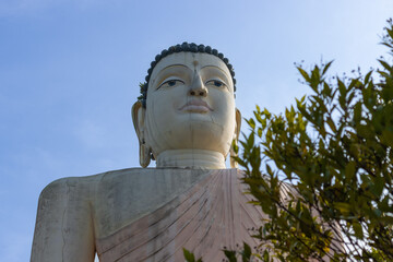 Lord buddha Kande viharaya temple 