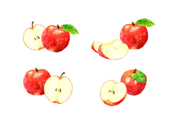 赤いりんごのセット　フルーツの手描き水彩イラスト素材集