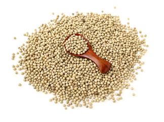 White peppercorns on white background