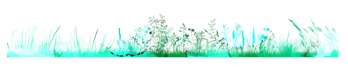 Obraz premium Vector green watercolor natural, organic, bio, eco label and shape, grass on white background. Long horizontal line of grass. Hand drawn stain.