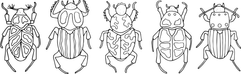 Beetles doodle icons set. Collection of sketches of different beetles. Hand drawn vector illustration. traced image.

