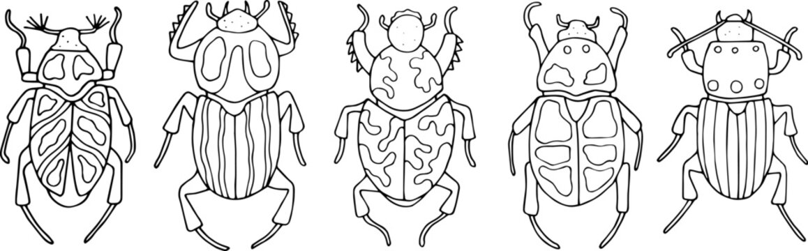 Beetles doodle icons set. Collection of sketches of different beetles. Hand drawn vector illustration. traced image.
