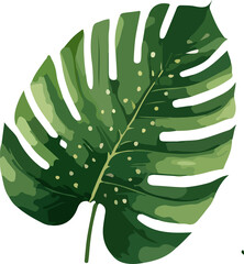 watercolor green leaves Botanical vector illustration isolated on white background, suitable for wedding card, save the date, thank you or greeting card. png file.