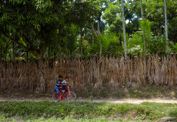 Bangladeshi rural kid is learning how to ride a bicycle on a village road with his elder brother who is also a kid