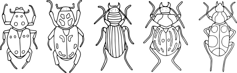 Beetles doodle icons set. Collection of sketches of different beetles. Hand drawn vector illustration. traced image.

