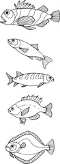 Underwater world of fishes doodle icons set. Collection of fish sketches. Hand drawn vector illustration. traced image.
