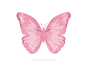 pink butterfly watercolor vector hand drawn design
