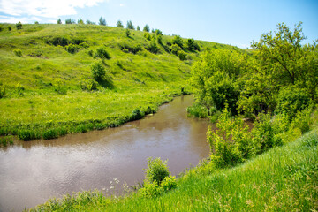 River in nature in summer.