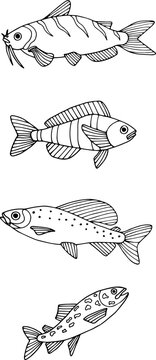 Underwater world of fishes doodle icons set. Collection of fish sketches. Hand drawn vector illustration. traced image.
