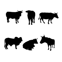 Set of silhouettes of cows farm vector design