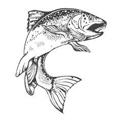 fish illustration with hand drawing