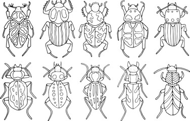 Beetles doodle icons set. Collection of sketches of different beetles. Hand drawn vector illustration. traced image.
