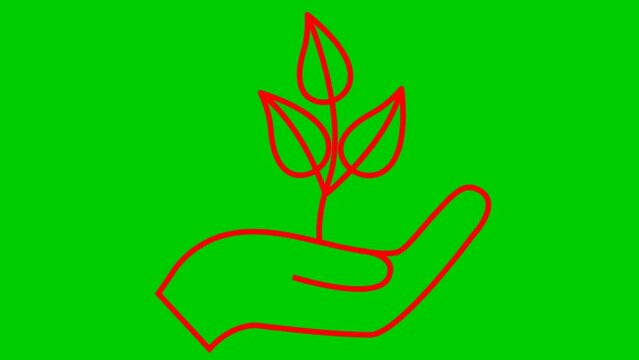 Linear ecology icon. Tree sprout in hand. The red symbol is drawn gradualaty. Looped video. Concept of ecology care, saving the nature, harvest. Vector illustration isolated on green background.