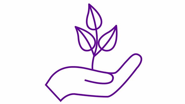 Linear ecology icon. Tree sprout in hand. The violet symbol is drawn gradualaty. Looped video. Concept of ecology care, saving the nature, harvest. Vector illustration isolated on white background.