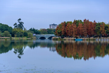 Landscape of Dongguan Ecological Garden in south china in winter. Stone arch bridge and copper red leaves of bald cypress over lake. The calm lake water reflects the scenery on the lake bank.