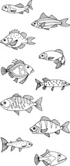Underwater world of fishes doodle icons set. Collection of fish sketches. Hand drawn vector illustration. traced image.

