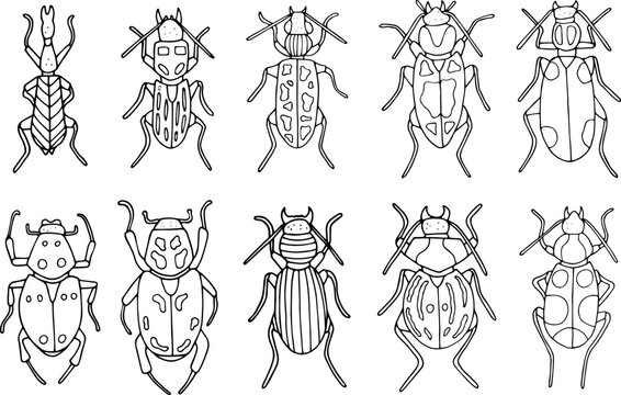 Beetles doodle icons set. Collection of sketches of different beetles. Hand drawn vector illustration. traced image.
