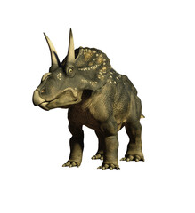 dinosaur diceratops 3d render