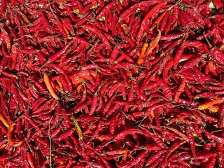 Red chillies 