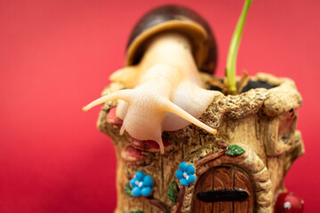 Fototapete bei efototapeten.de bestellen   