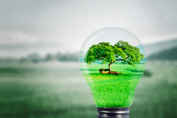 Tree and rice field growing in light bulb
