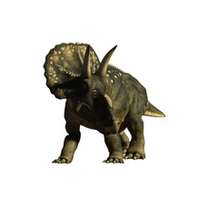 dinosaur diceratops 3d render