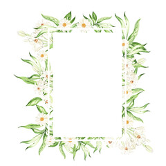 Tropical leaves, flowers,  card on white background, watercolor illustration