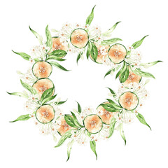 Fototapeta na wymiar Melon fruit and leaves, wreath on white background, watercolor illustration