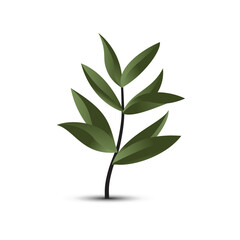 greenery leaf plant forest herbs tropical leaves