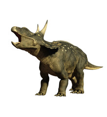 Obraz premium dinosaur diceratops 3d render