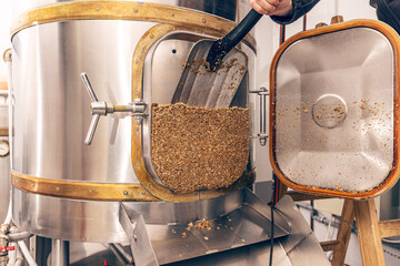 Process of brewing grain of barley - obrazy, fototapety, plakaty